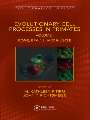 cover image of Evolutionary Cell Processes in Primates